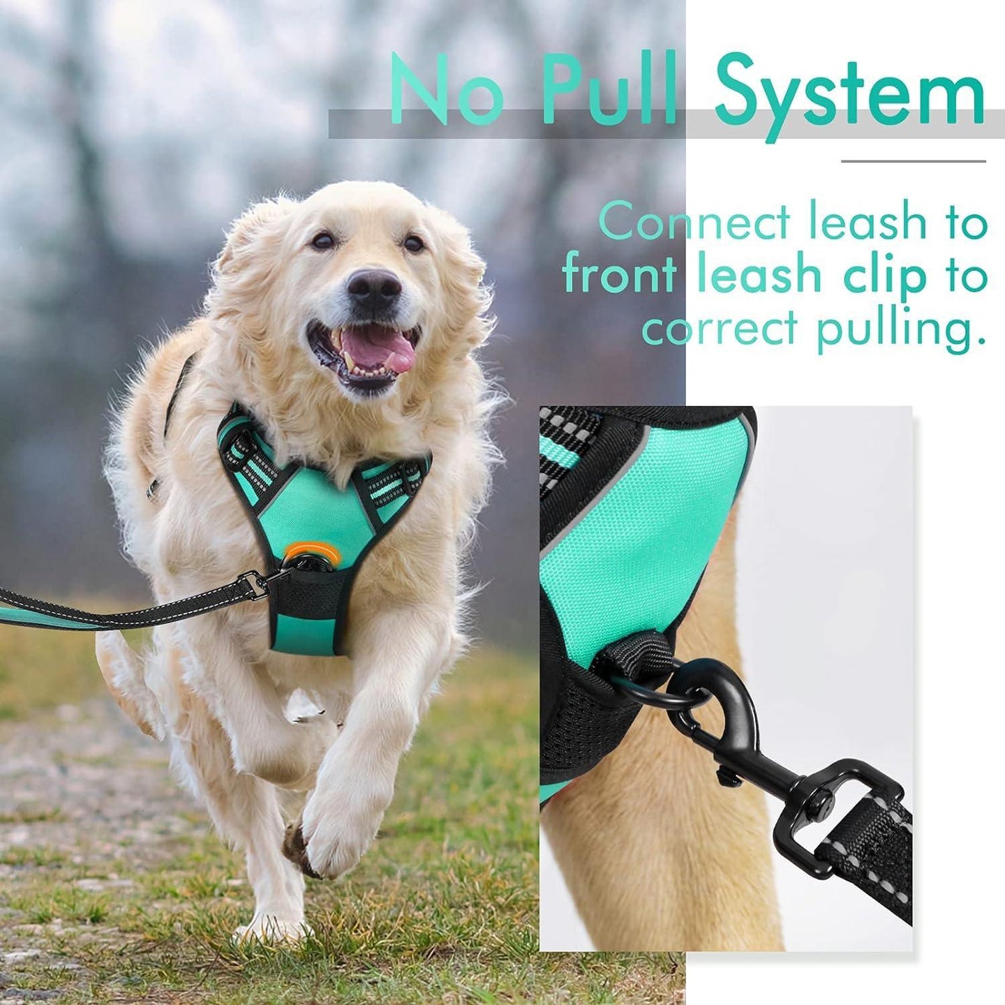 Rabbitgoo No Pull Dog Harness - Turquoise 