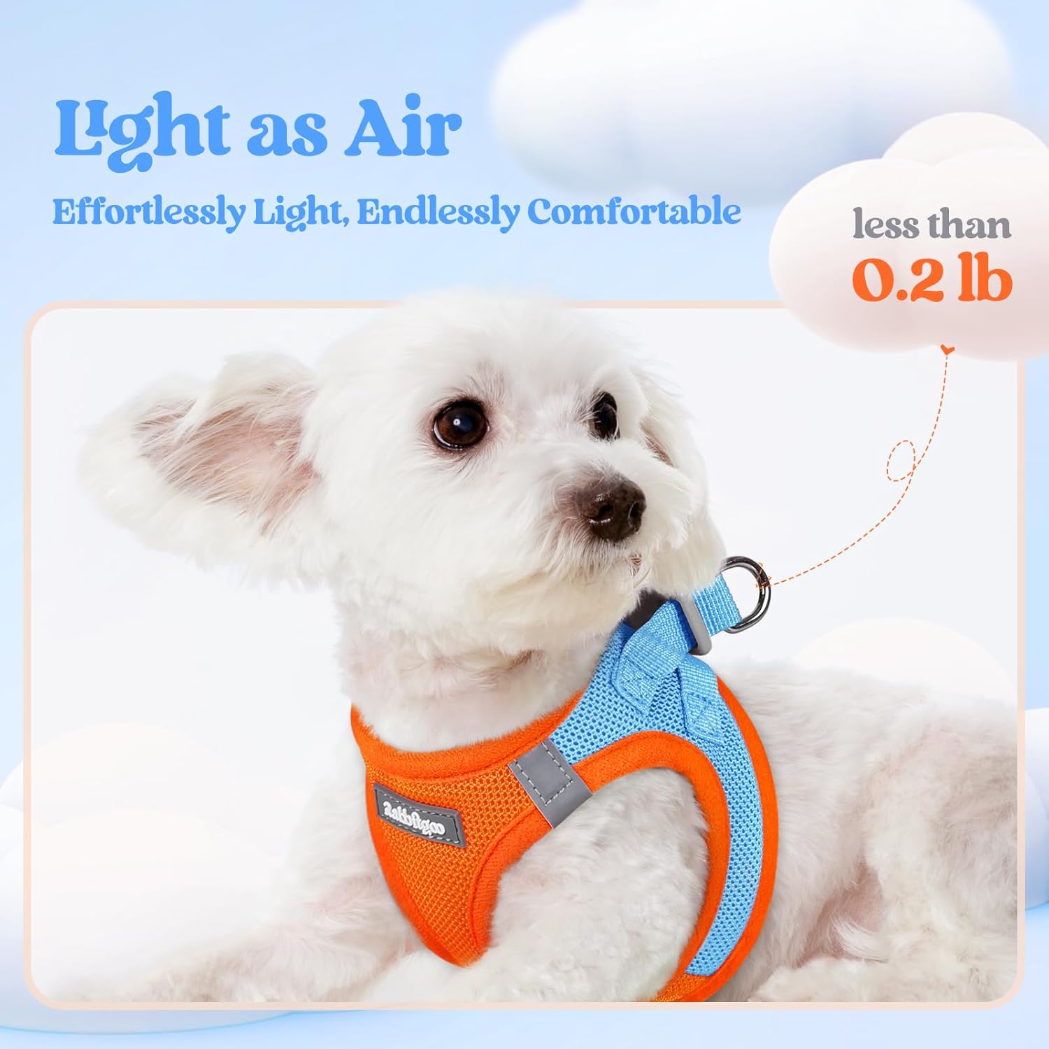 samll dog harness and leash set - Orange & Blue