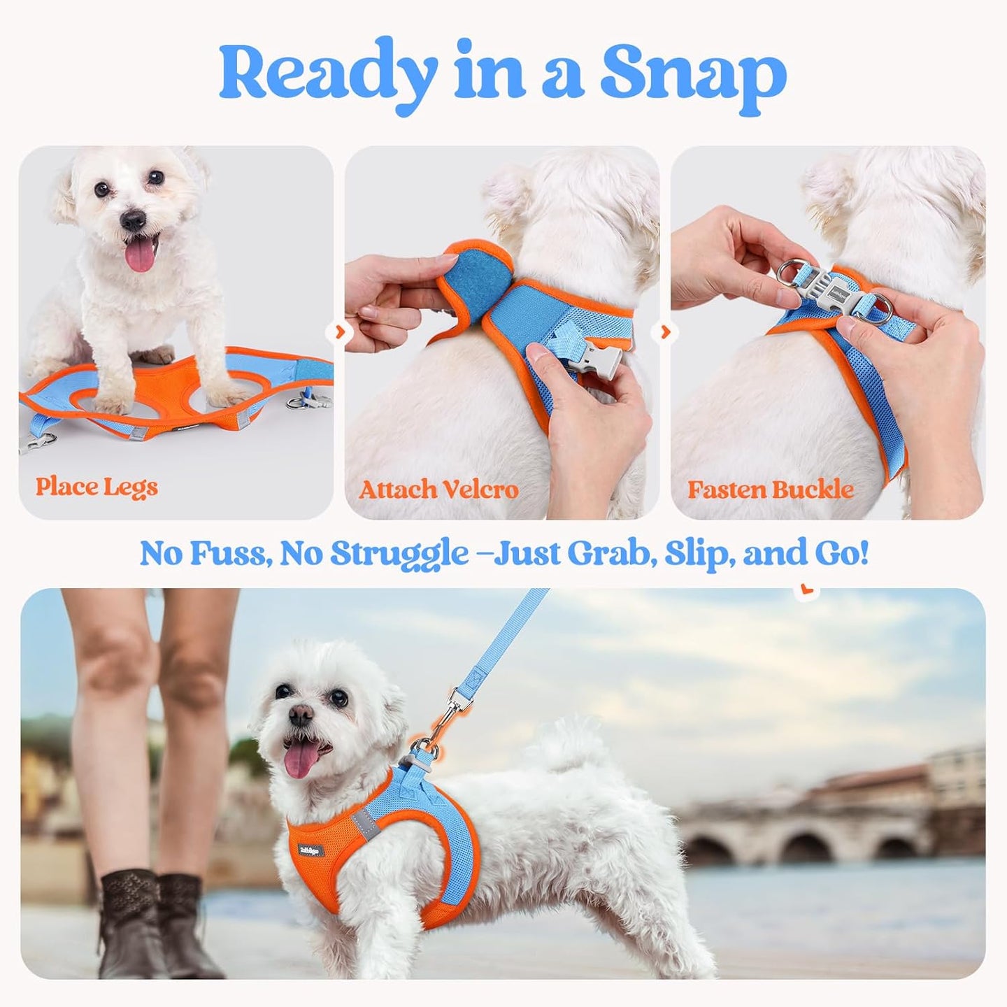 samll dog harness and leash set - Orange & Blue