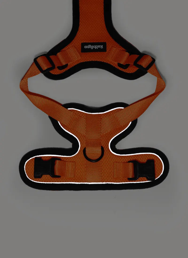 Rabbitgoo Classic Adjustable Cat Harness and Leash Set - Orange