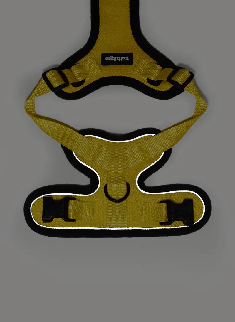 Rabbitgoo Classic Adjustable Cat Harness and Leash Set - Yellow