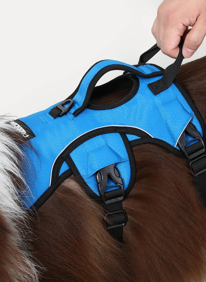 Rabbitgoo Large Dog Harness with Handle - Blue