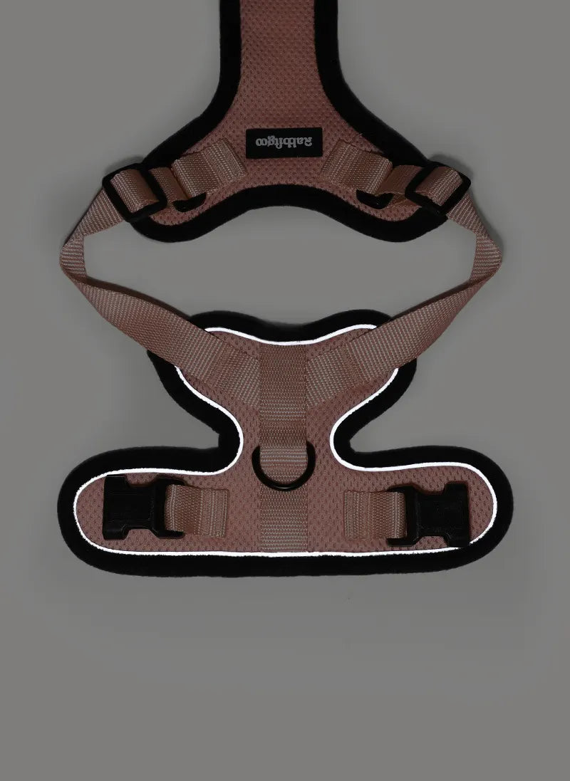 Rabbitgoo Classic Adjustable Cat Harness and Leash Set - Light Salmon Pink
