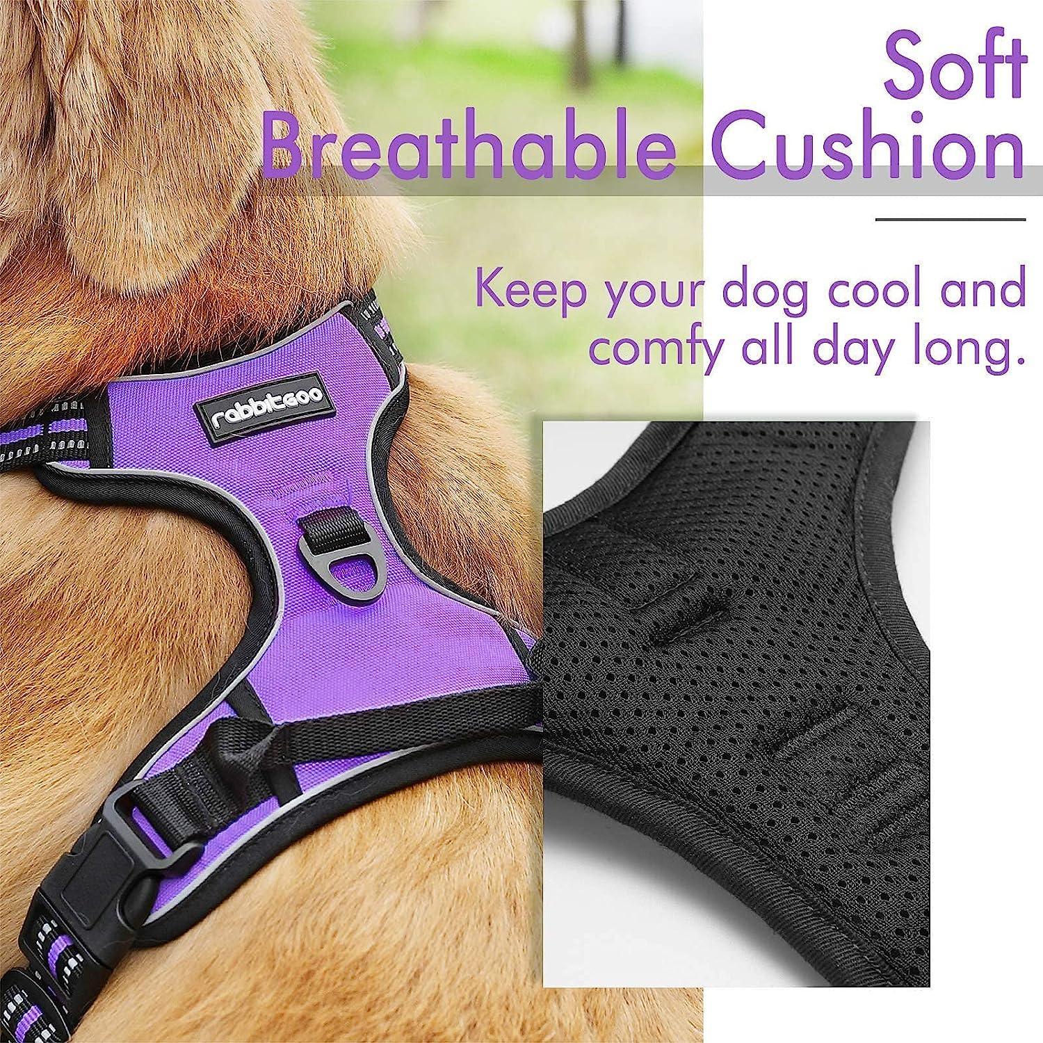 Rabbitgoo No Pull Dog Harness - Purple 