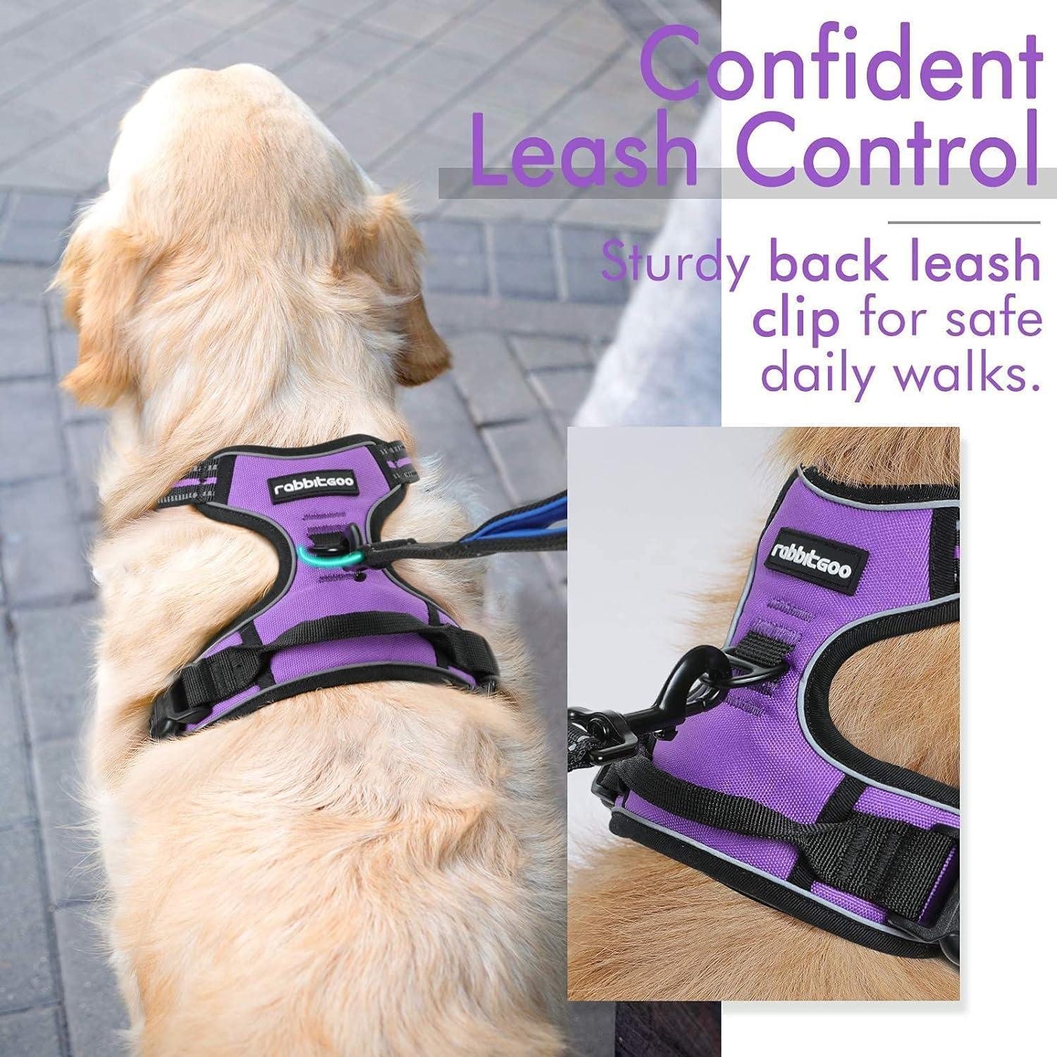 Rabbitgoo No Pull Dog Harness - Purple 