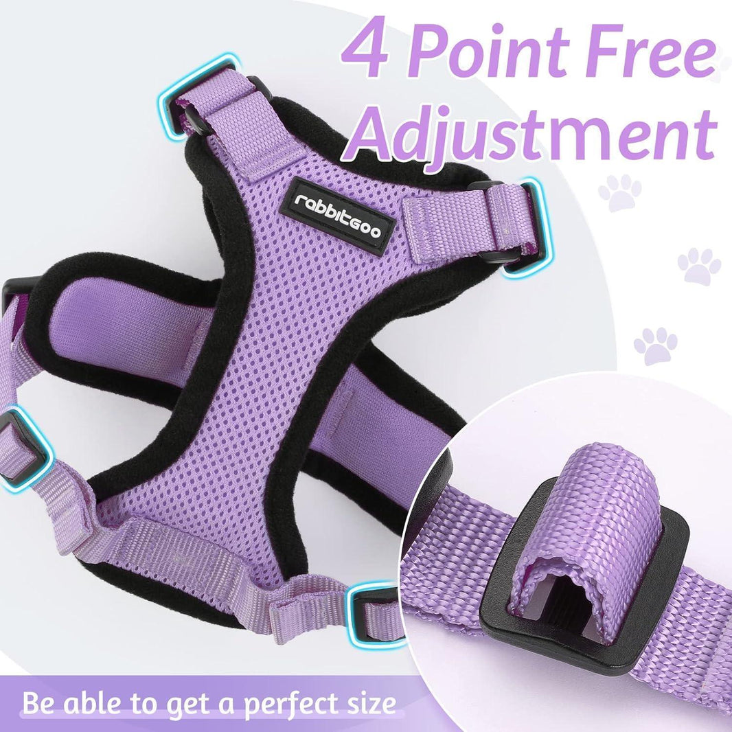 Rabbitgoo Classic Adjustable Cat Harness and Leash Set - Light Purple