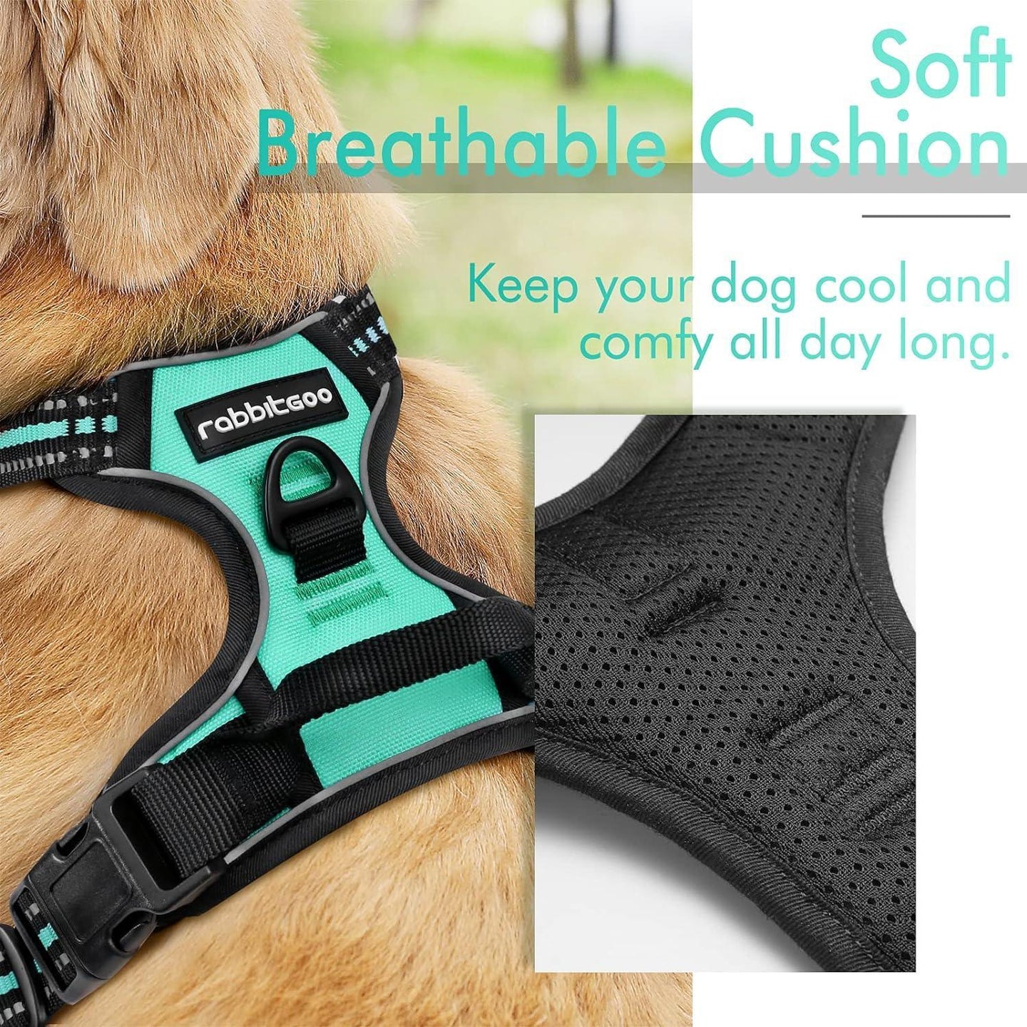 Rabbitgoo No Pull Dog Harness - Turquoise 