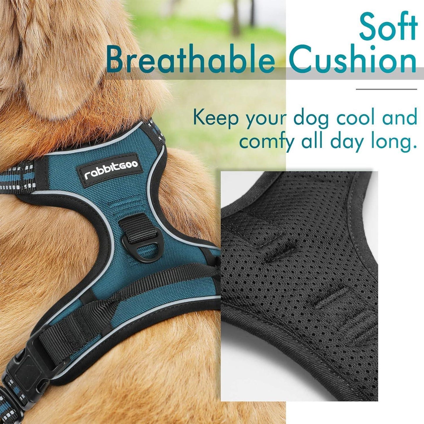 Rabbitgoo No Pull Dog Harness - Blue Coral