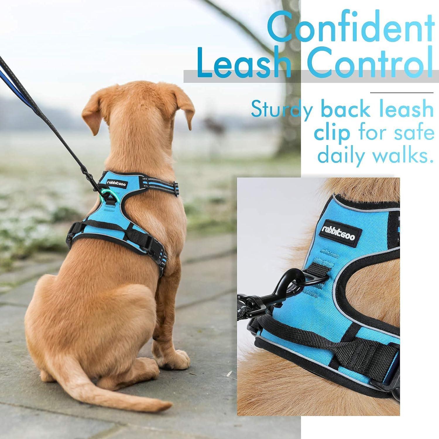 Rabbitgoo No Pull Dog Harness - Blue 