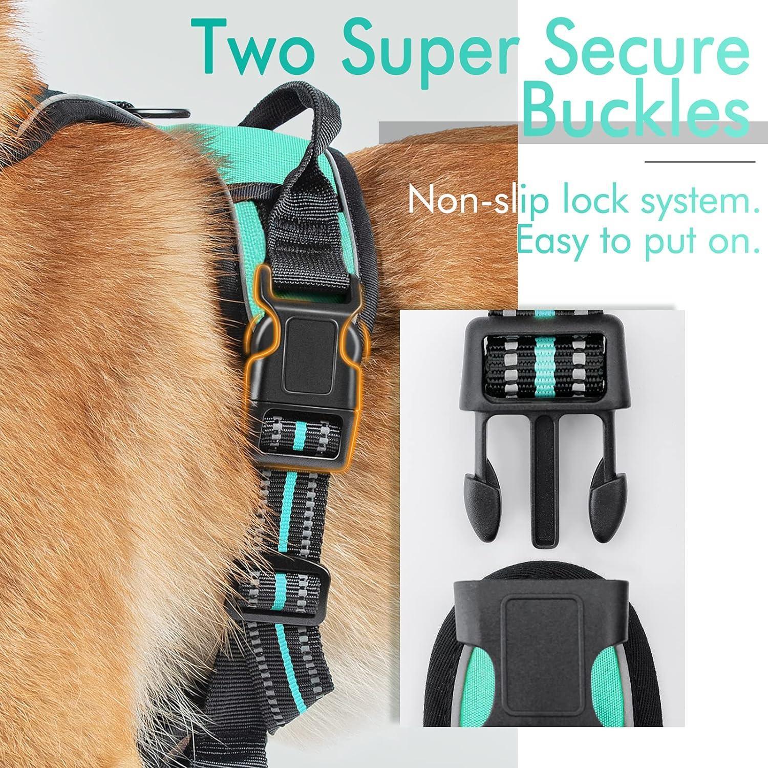 Rabbitgoo No Pull Dog Harness - Turquoise 
