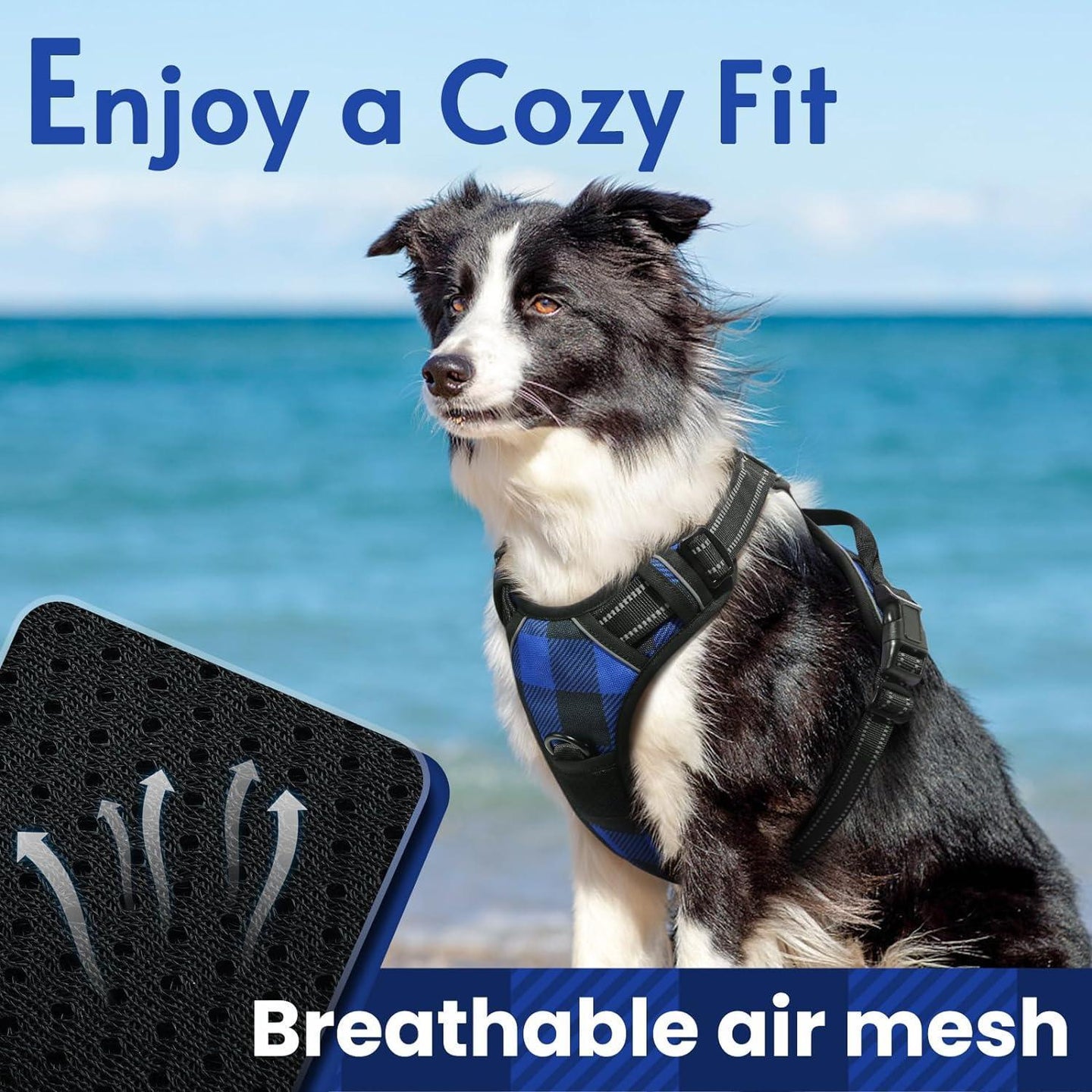 Rabbitgoo Plaid Dog Harness for Large Dogs - Blue & Black / S