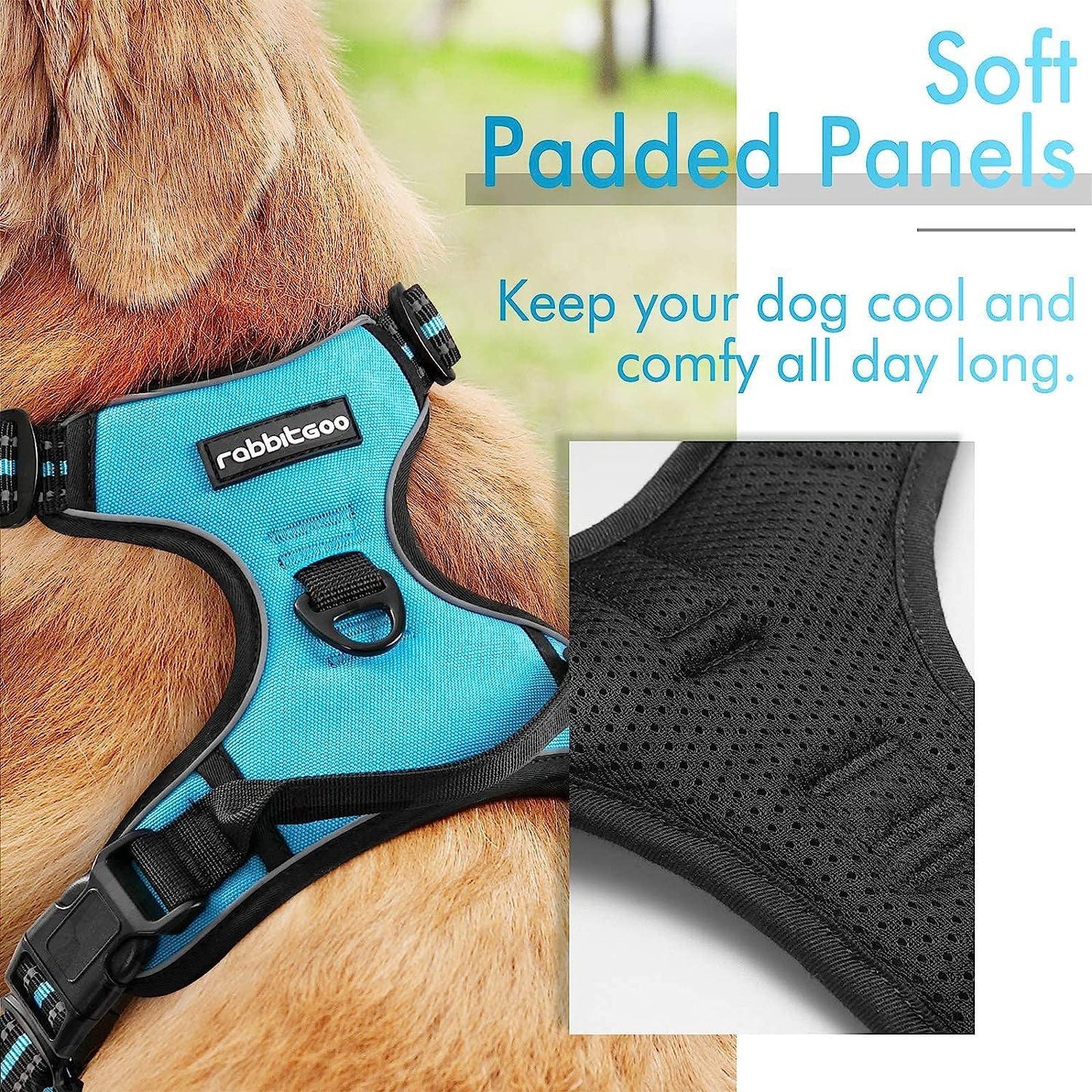 Rabbitgoo No Pull Dog Harness - Blue 