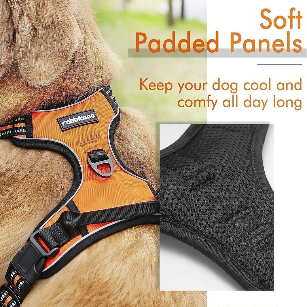 Classic Fit No Pull Dog Harness - Orange
