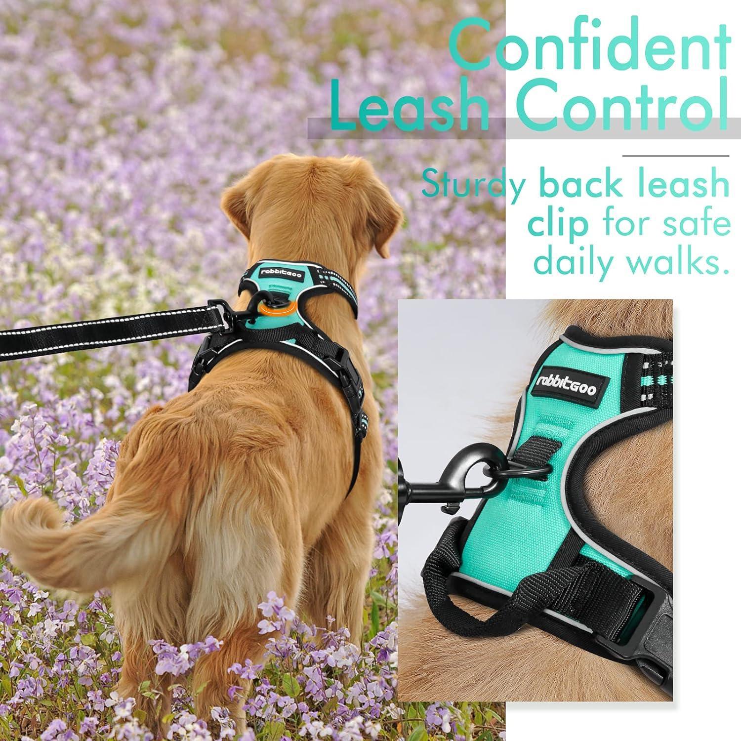 Rabbitgoo No Pull Dog Harness - Turquoise 