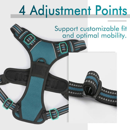 Rabbitgoo No Pull Dog Harness - Blue Coral