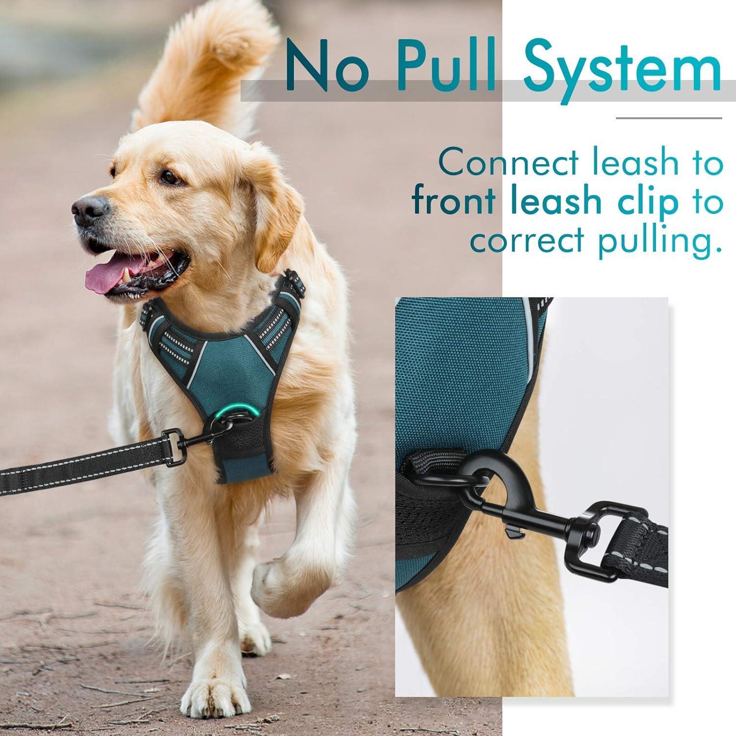 Rabbitgoo No Pull Dog Harness - Blue Coral