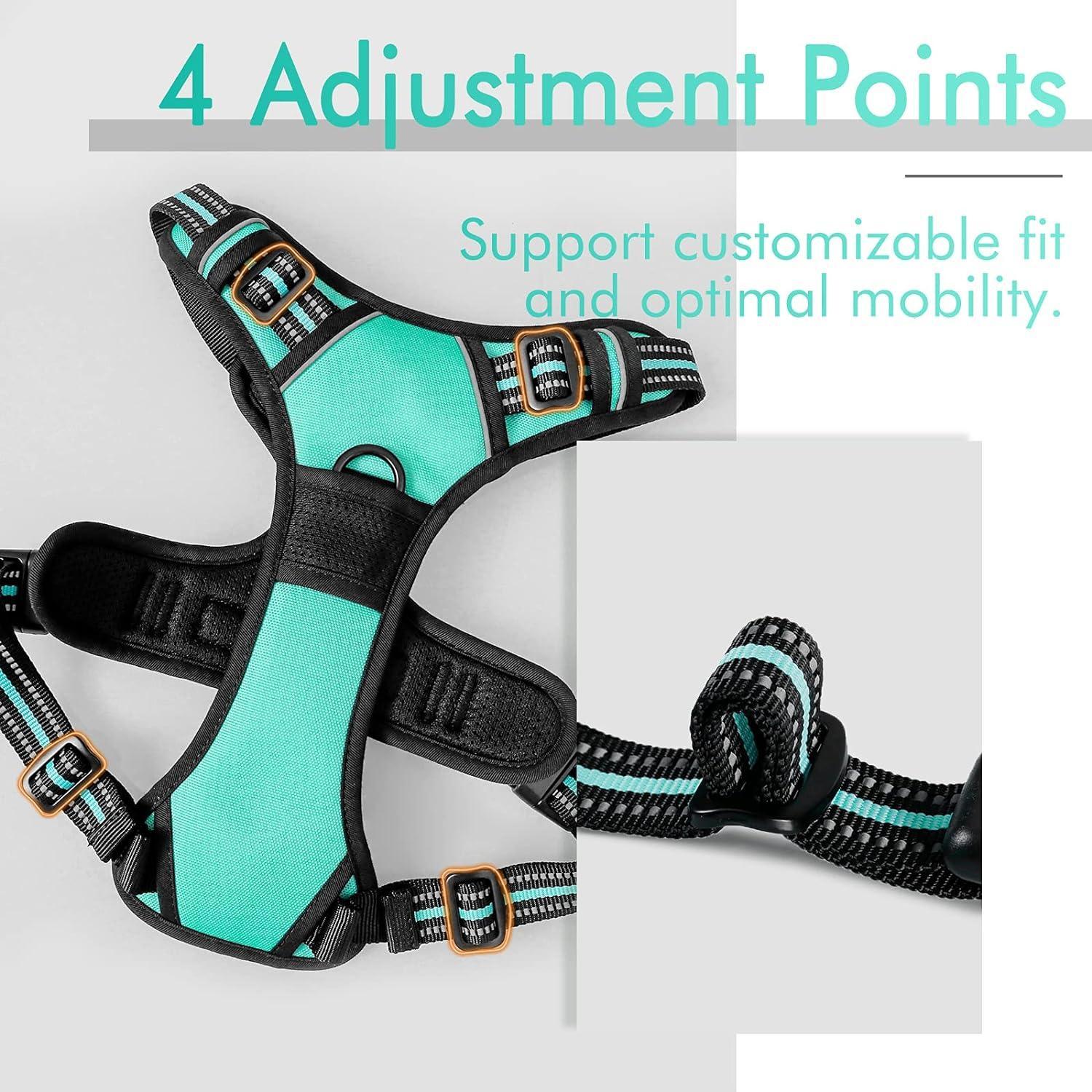 Rabbitgoo No Pull Dog Harness - Turquoise 