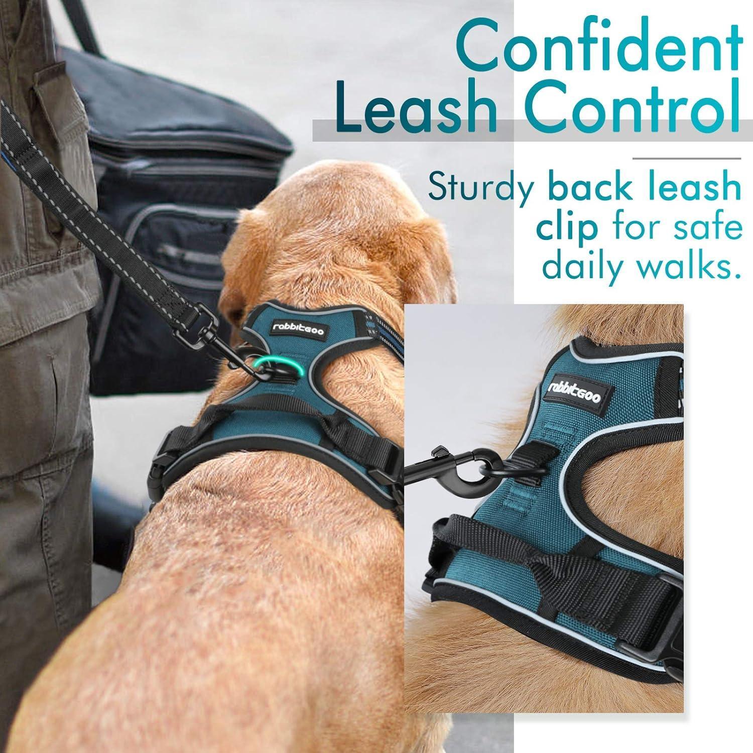 Rabbitgoo No Pull Dog Harness - Blue Coral