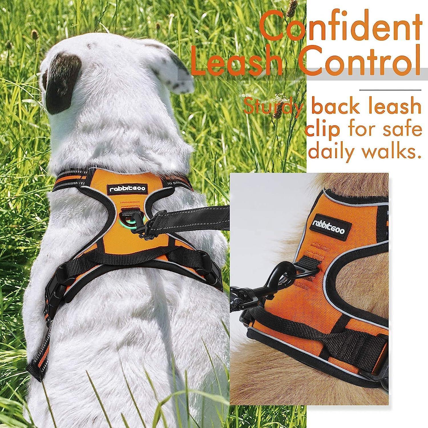 Rabbitgoo No Pull Dog Harness - Orange 