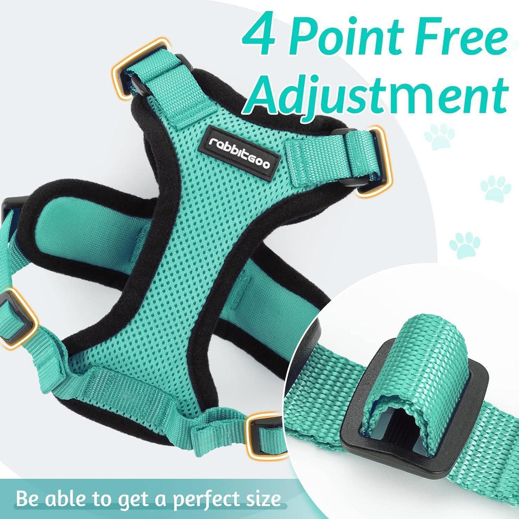 Rabbitgoo Classic Adjustable Cat Harness and Leash Set - Emerald