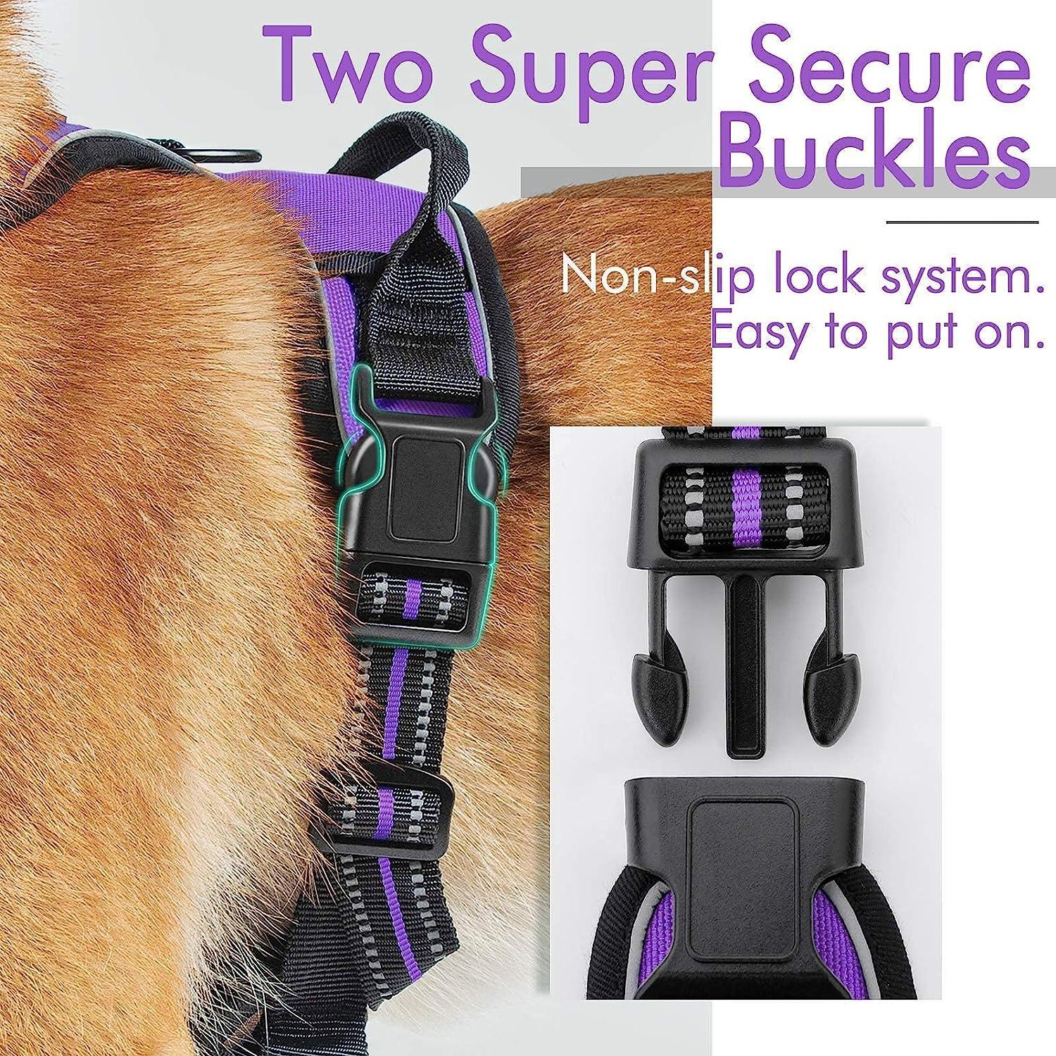Rabbitgoo No Pull Dog Harness - Purple 