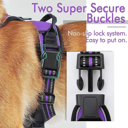 Rabbitgoo No Pull Dog Harness - Purple 