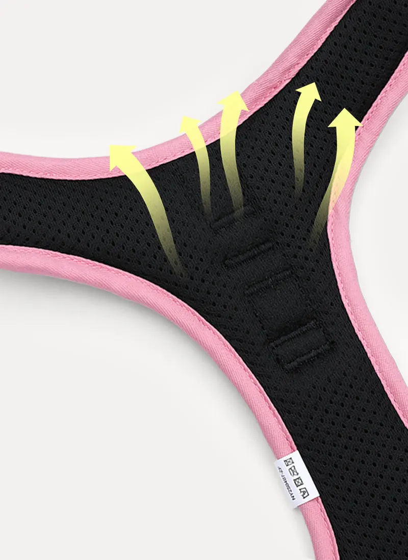 BloomWalk Easy-On No Pull Dog Harness - Floral Pink