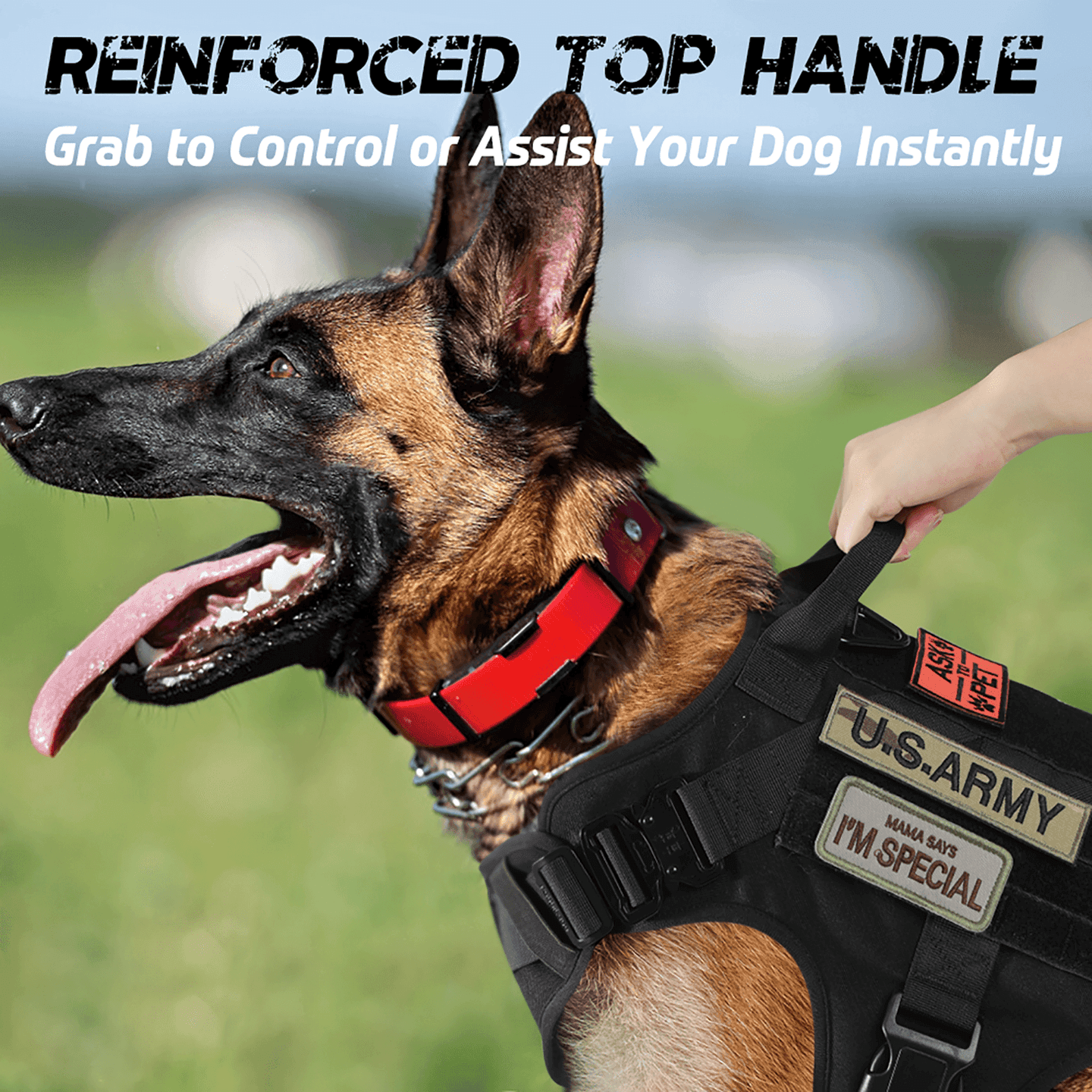 Tactical Dog Harness Vest with Handle - Black 