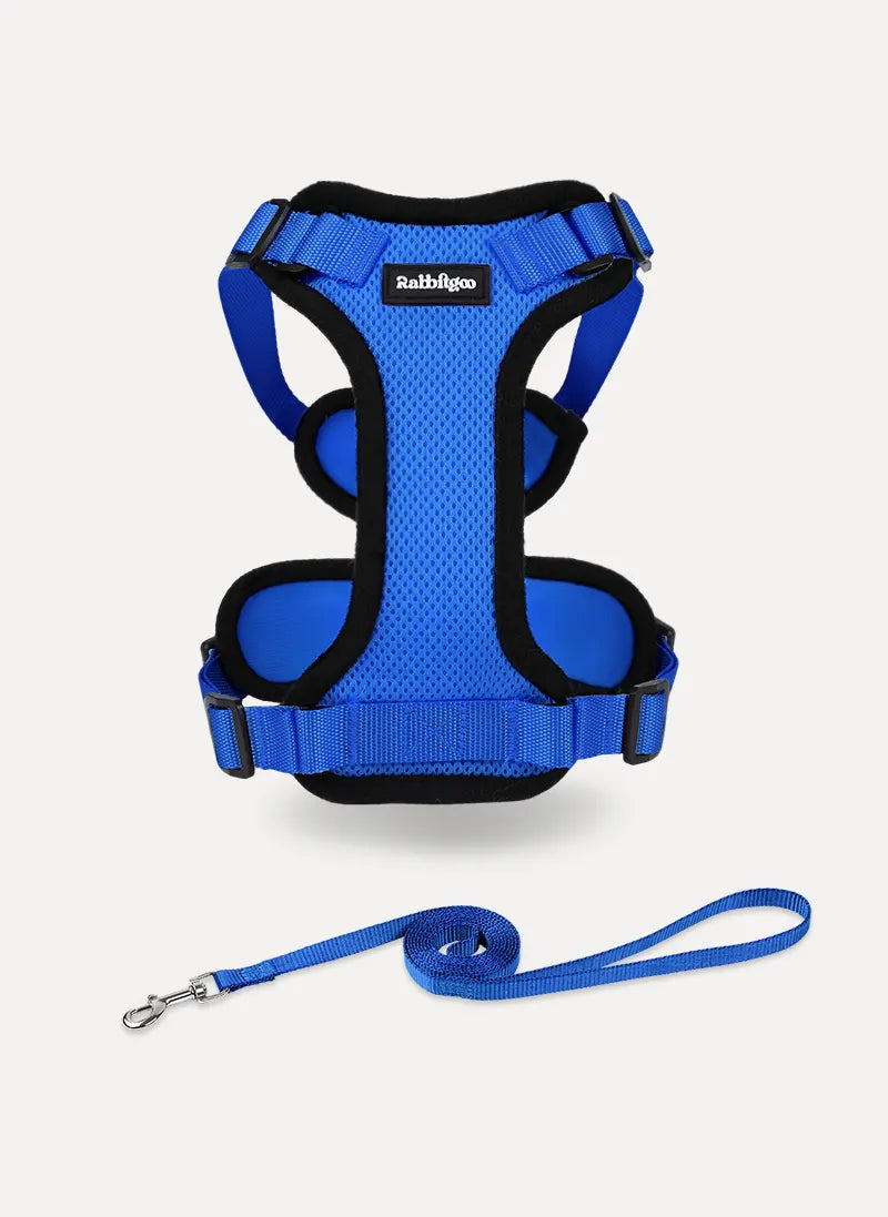 Rabbitgoo Classic Adjustable Cat Harness and Leash Set - Navy Blue