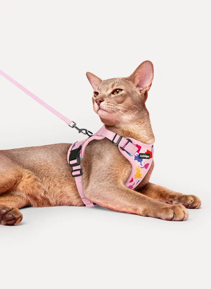 Rabbitgoo Kaleido Adjustable cat harness and leash set - Confetti Pink