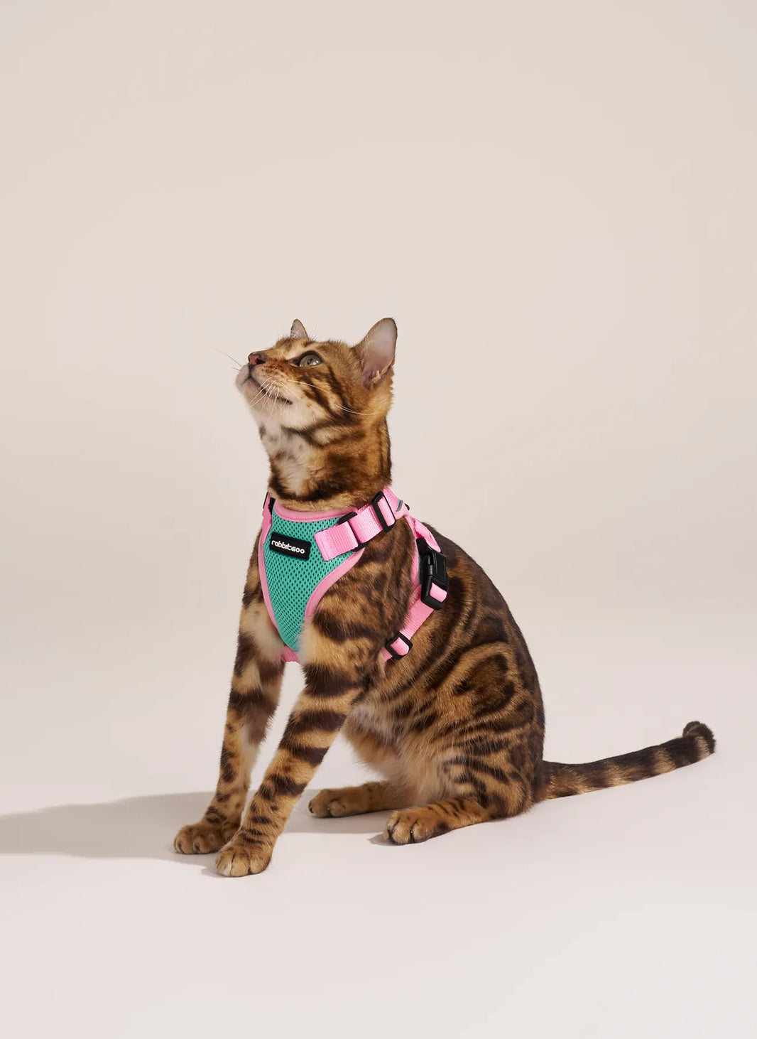 Rabbitgoo Fusion Adjustable cat harness and leash set - Green & Pink 