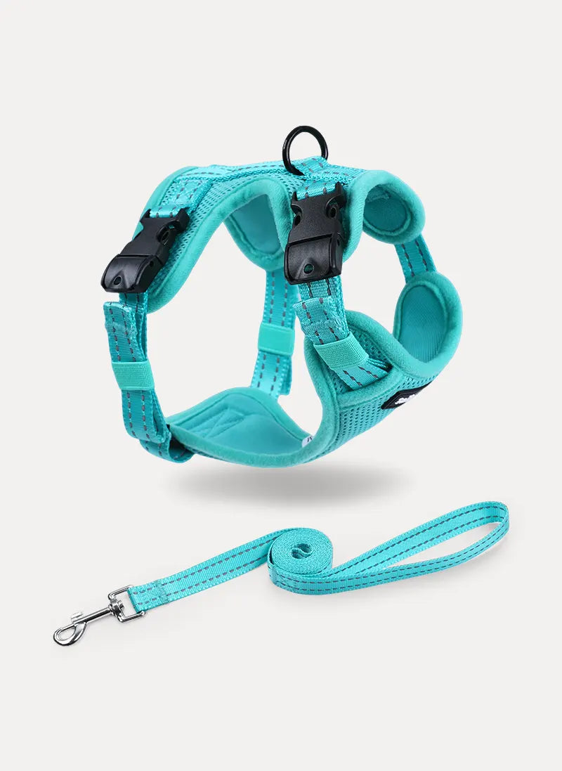 Rabbitgoo SnugFit 3-Point Cat Harness and Leash Set - Emerald