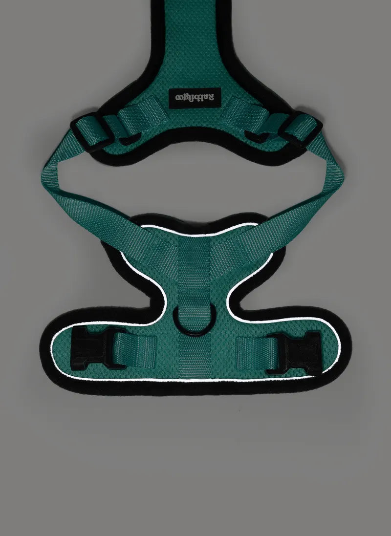 Rabbitgoo Classic Adjustable Cat Harness and Leash Set - Emerlad