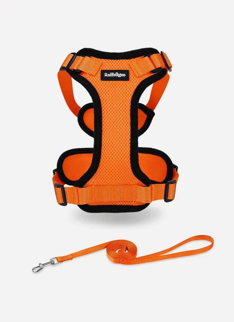 Rabbitgoo Classic Adjustable Cat Harness and Leash Set - Orange