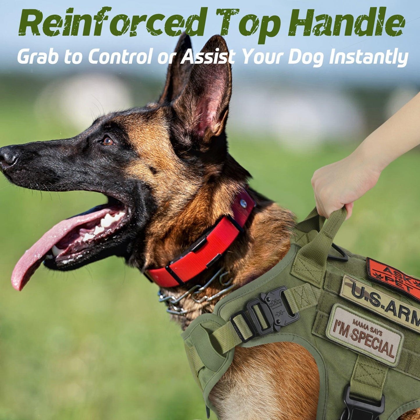 Tactical Dog Harness Vest with Handle - Green 
