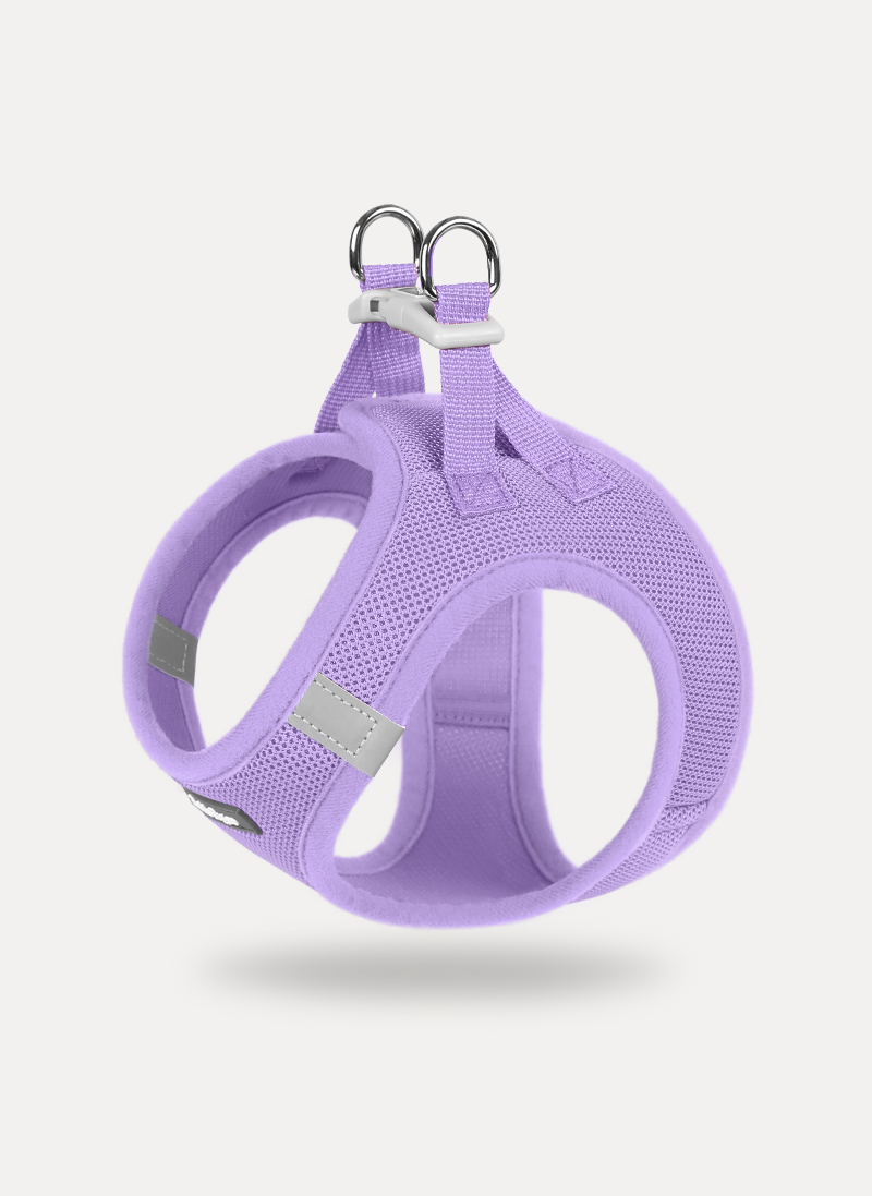 Minifit Small Dog Harness and Leash Set - Light Purple