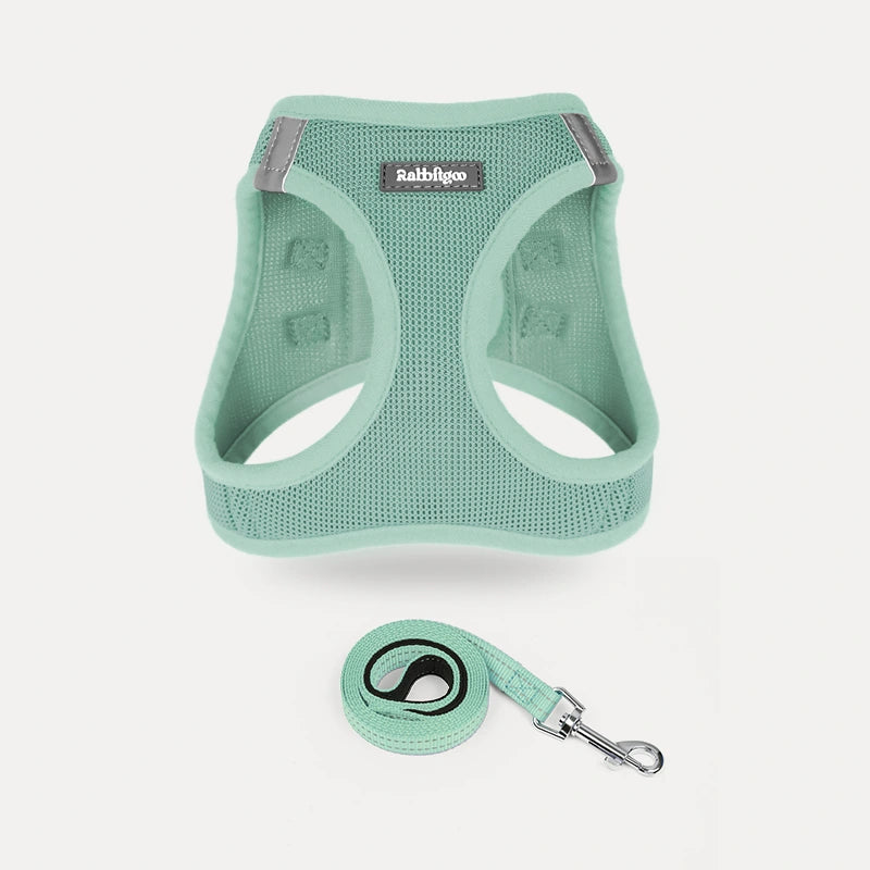 Minifit Small Dog Harness and Leash Set - Mint green