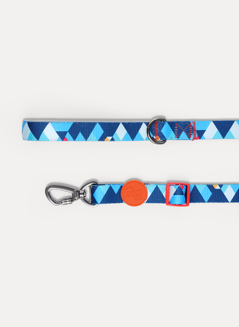Freeline Y Series Blue Horizon Dog Harness Set