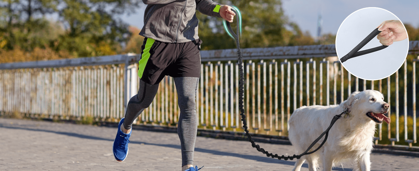 A man goes for a morning jog with his white Labrador using Rabbitgoo dog leash.