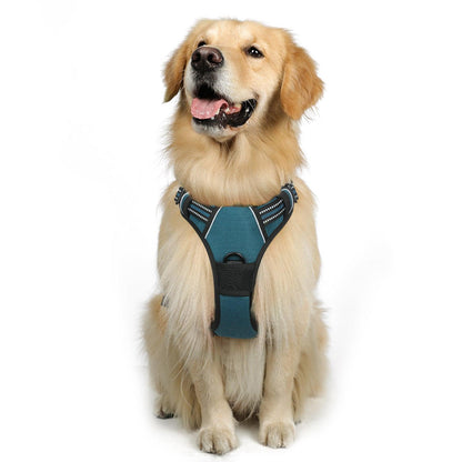 Rabbitgoo No Pull Dog Harness - Blue Coral