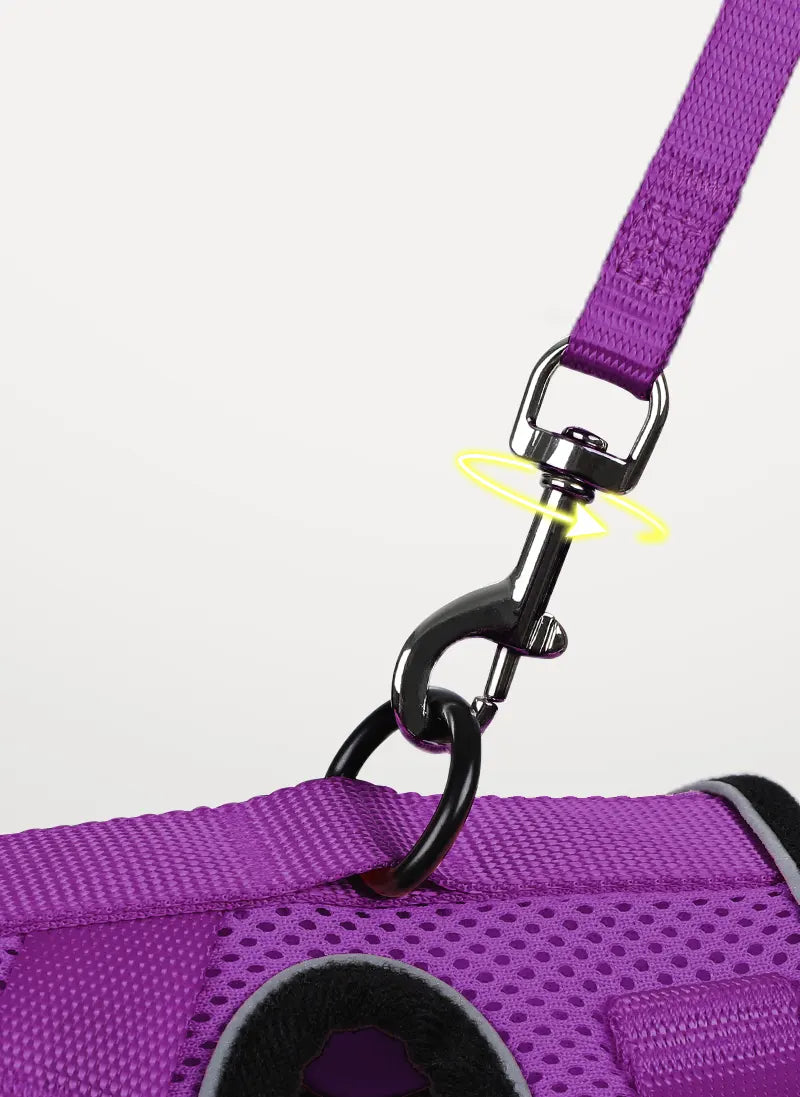 Rabbitgoo Classic Adjustable Cat Harness and Leash Set - Purple