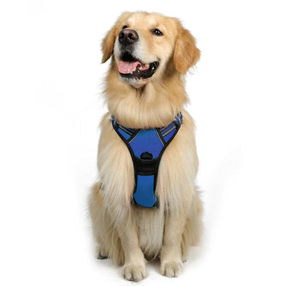 Rabbitgoo No Pull Dog Harness - Dazzling Blue 