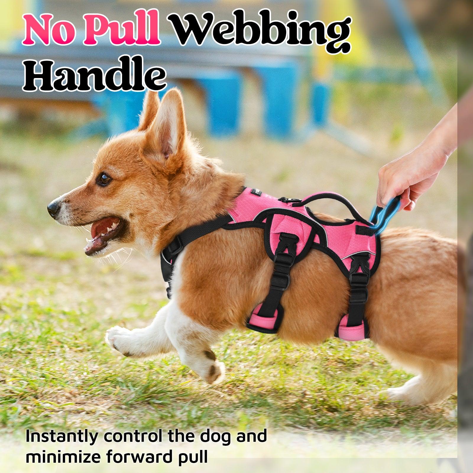 Rabbitgoo Large Dog Harness with Handle - Pink