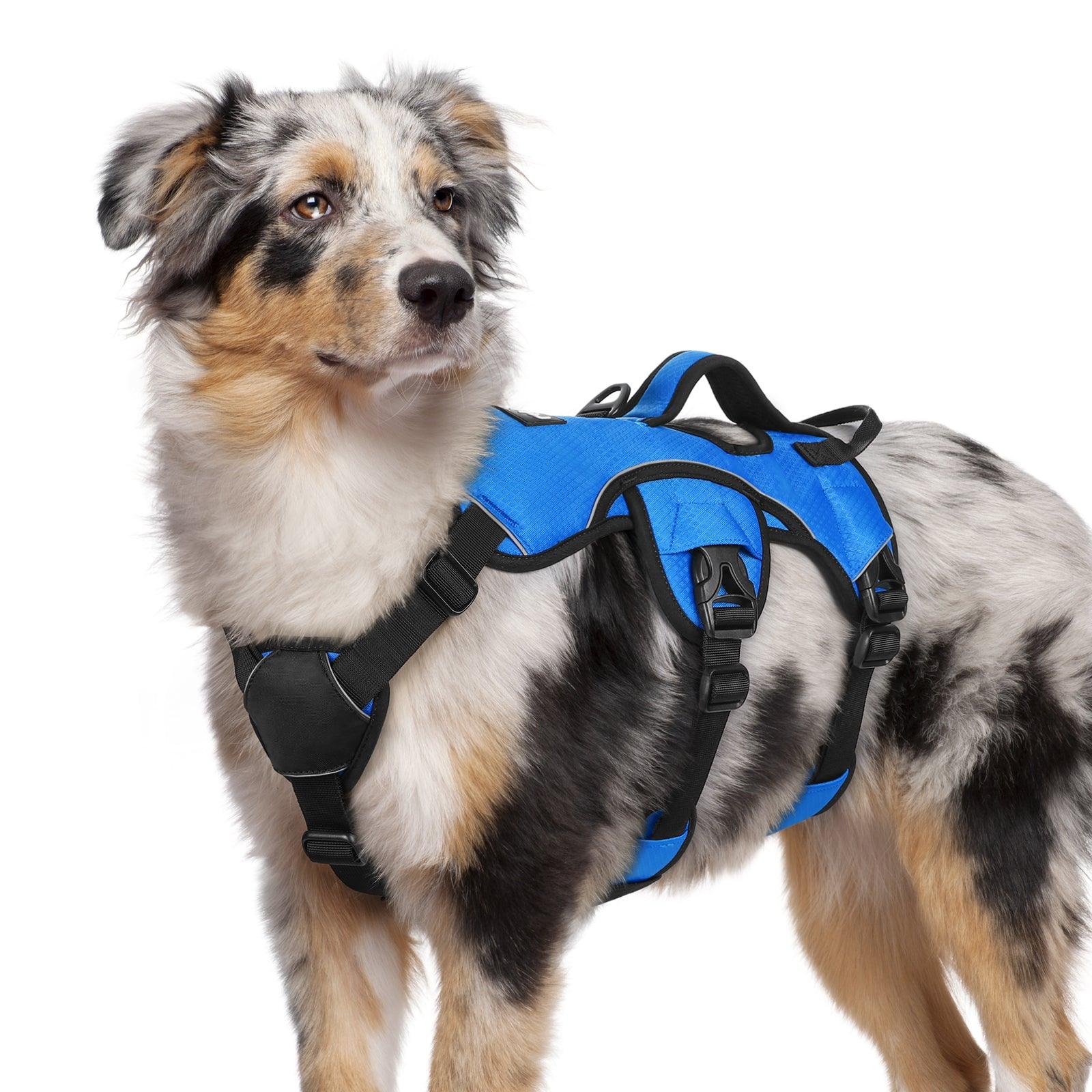 Rabbitgoo Large Dog Harness with Handle - Blue