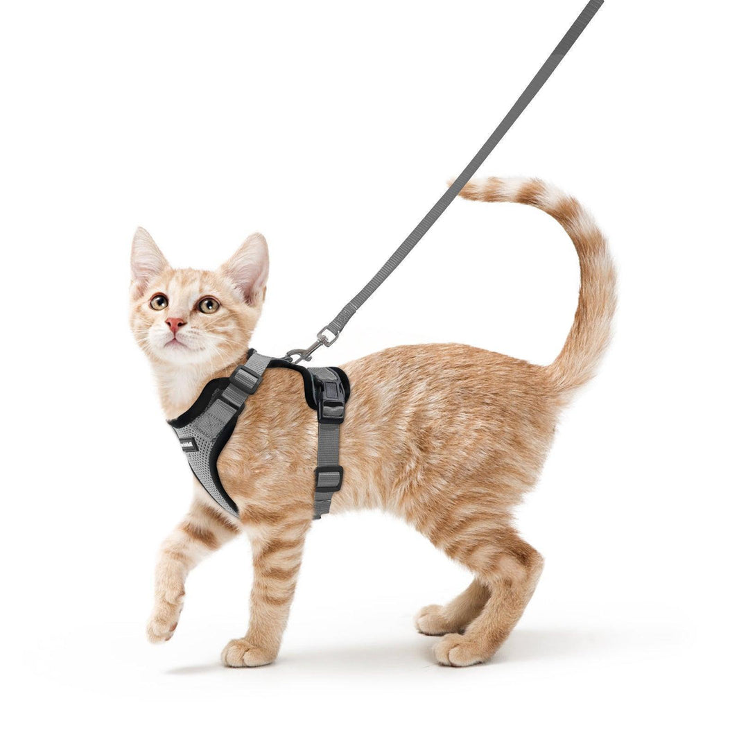 Rabbitgoo Classic Adjustable Cat Harness and Leash Set - Grey