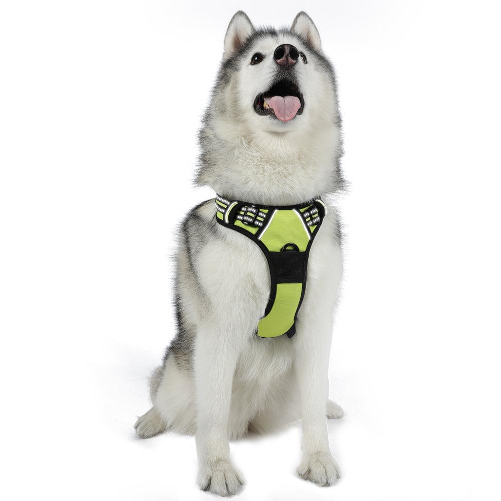 Rabbitgoo No Pull Dog Harness - Wild Lime 