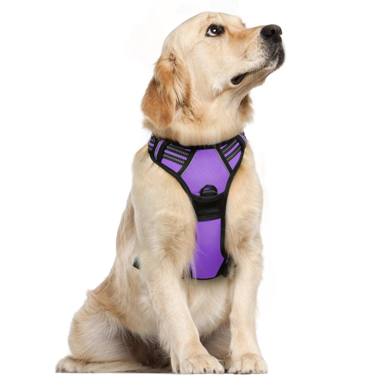 Rabbitgoo No Pull Dog Harness - Purple 