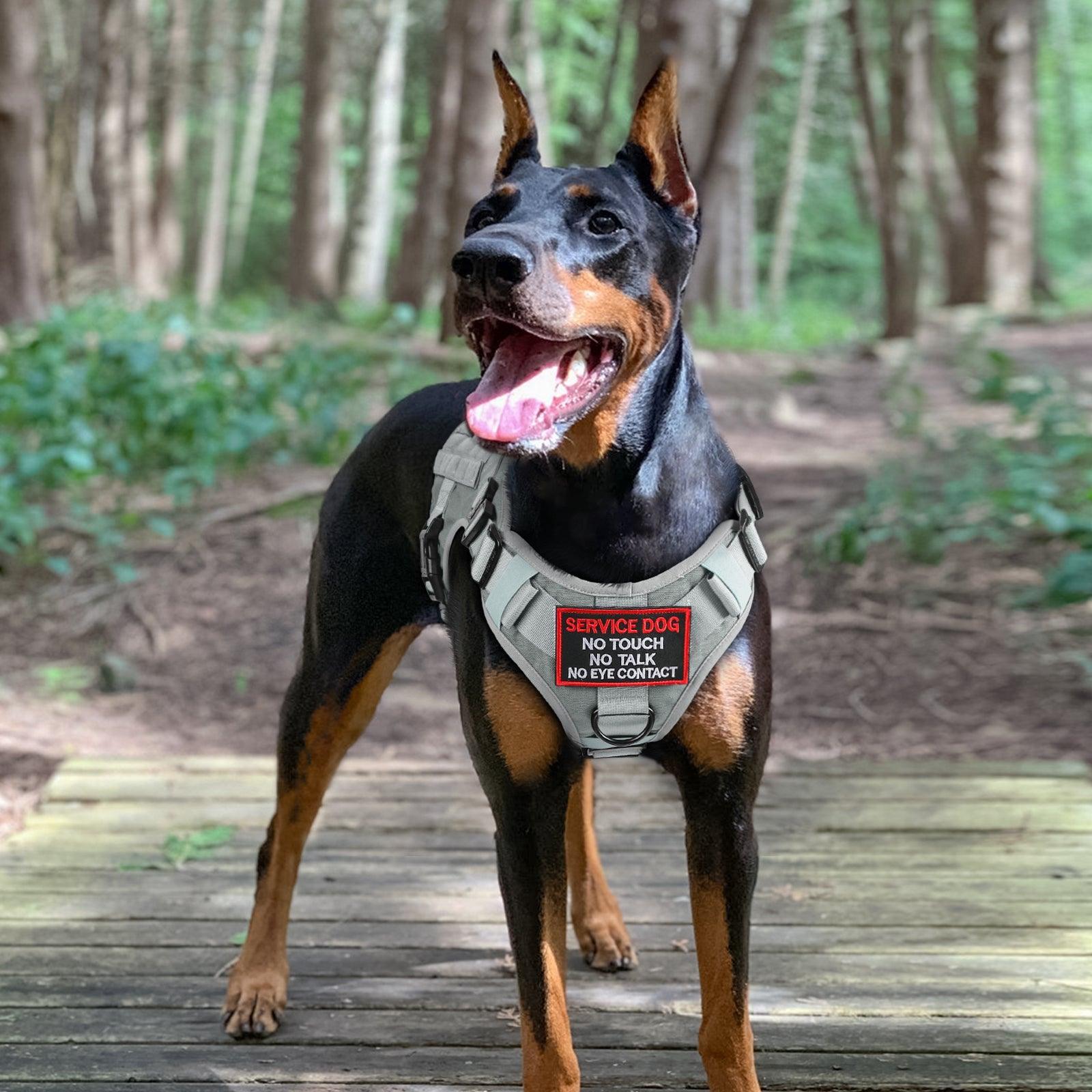 PAWTRENDER Tactical Dog Harness for Large Dogs - Grey