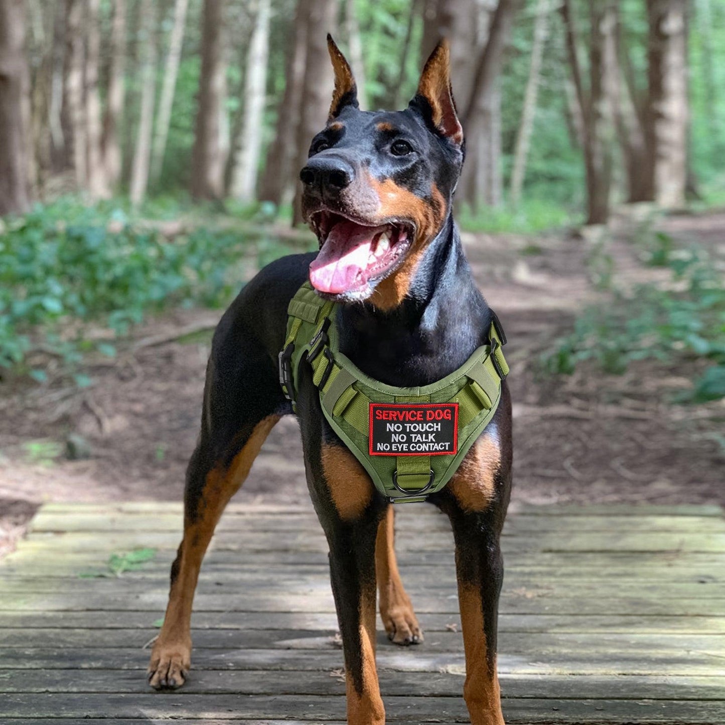 PAWTRENDER Tactical Dog Harness for Large Dogs - Green 
