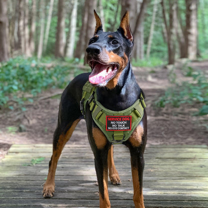 PAWTRENDER Tactical Dog Harness for Large Dogs - Green 